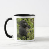 Nationalpark Vulkane, Gorilla Tasse (Links)
