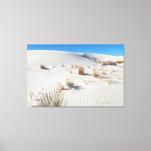 Nationalpark White Sand Leinwanddruck