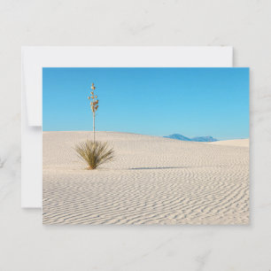 Nationalpark White Sands Landschaft und Yucca Postkarte