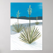 Nationalpark White Sands Poster (Vorne)