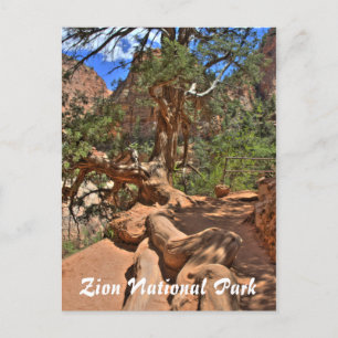 Nationalpark Zion, Utah Postcard Postkarte