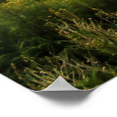 Nationalpark Zion - Utah Poster (Ecke)