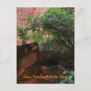 Nationalpark Zion, Utah Postkarte