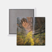 Nationalpark Zion, Utah. USA. Ephemal Magnet (Vorderseite/Rückseite)