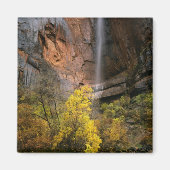 Nationalpark Zion, Utah. USA. Ephemal Magnet (Vorne)