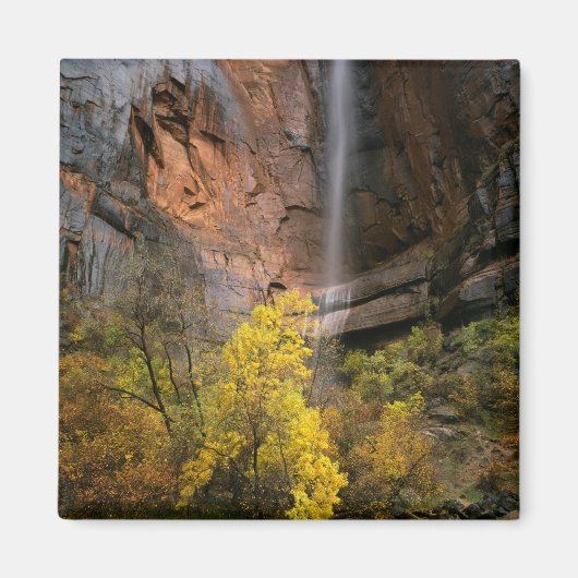 Nationalpark Zion, Utah. USA. Ephemal Magnet (Vorne)