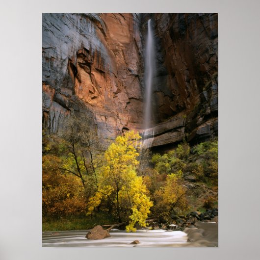 Nationalpark Zion, Utah. USA. Ephemal Poster (Vorne)