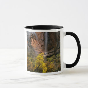 Nationalpark Zion, Utah. USA. Ephemonie Tasse