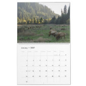 Nationalparkkalender 2024 kalender (Jan 2027)