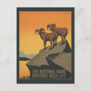 Nationalparks bewahren Vintage Ad. Postkarte