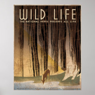 Nationalparks im Wild-Life-Bereich bewahren Leben Poster
