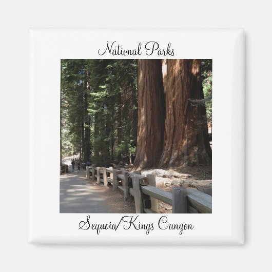 Nationalparks - Sequoia/Kings Canyon Magnet (Vorne)