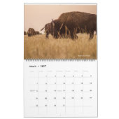 Nationalparks US Kalender (Mär 2027)