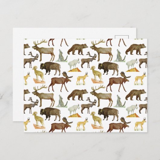 Nationalparks Wildlife Postcard Postkarte (Vorne/Hinten)