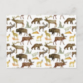 Nationalparks Wildlife Postcard Postkarte (Vorderseite)