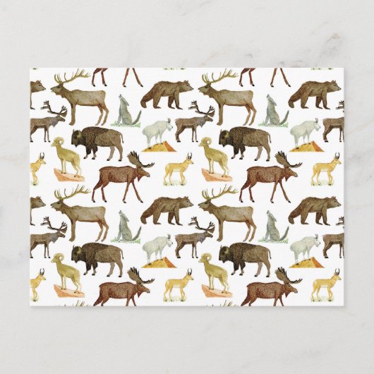 Nationalparks Wildlife Postcard Postkarte (Vorderseite)