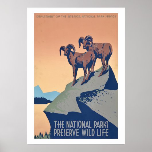 Nationalparks-Wildlife-Poster Poster (Vorne)