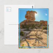 Nationalparktag! Postkarte (Vorne/Hinten)