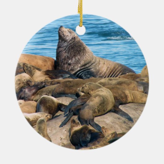 Nationalparkverzierung Glacier Bays Keramik Ornament (Hinten)