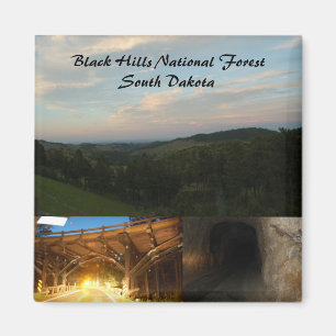 Nationalwald der Black Hills Magnet