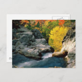 Nationalwald der Weißen Berge, NH Postkarte (Vorne/Hinten)