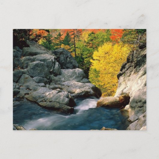 Nationalwald der Weißen Berge, NH Postkarte (Vorderseite)