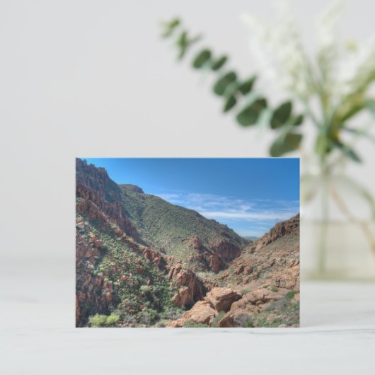 Nationalwald von Coconino Postkarte (Stehend Vorderseite)