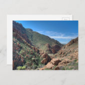 Nationalwald von Coconino Postkarte (Vorne/Hinten)