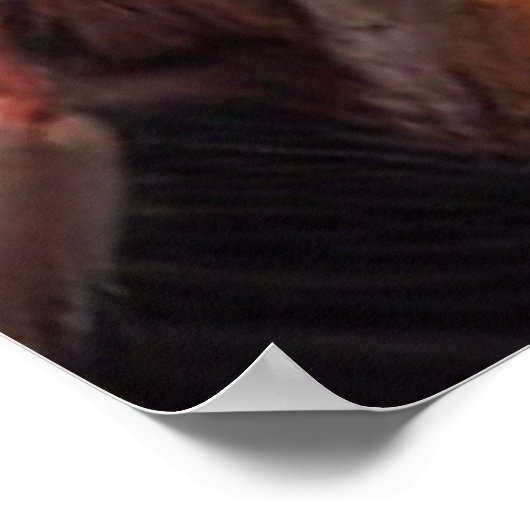 Native American Sioux Poster (Ecke)