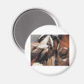 NATIVE AMERIKANISCHE MAGNET (Vorderseite/Rückseite)