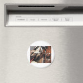 NATIVE AMERIKANISCHE MAGNET (In Situ (Geschirrspüler))