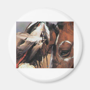 NATIVE AMERIKANISCHE MAGNET