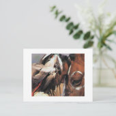 NATIVE AMERIKANISCHE POSTKARTE (Stehend Vorderseite)