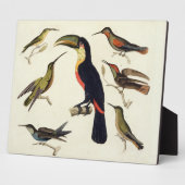 Native birds, including the Toucan (centre), Amazo Fotoplatte (Seite)