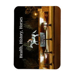 Native Dancer Horse Statue Saratoga Magnet