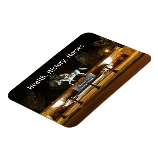 Native Dancer Horse Statue Saratoga Magnet (Linke Seite)