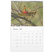 Native Florida 2026 Kalender (Feb 2027)