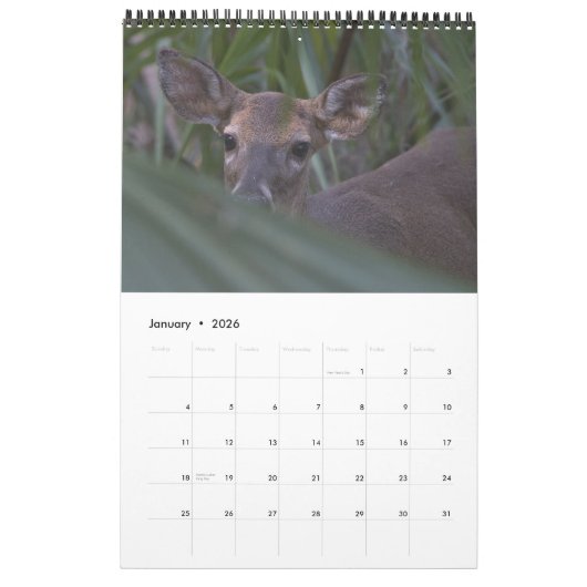 Native Florida 2026 Kalender (Jan 2026)