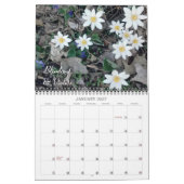 Native Garden 2021 Kalender (Jan 2027)