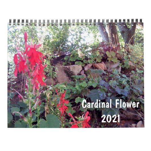 Native Garden 2021 Kalender (Rückseite)