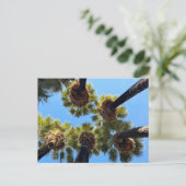 Native Naturally Grown Palm Trees Postkarte (Stehend Vorderseite)