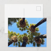 Native Naturally Grown Palm Trees Postkarte (Vorne/Hinten)