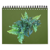 Native Plants - Pacific northwest Kalender (Titelbild)