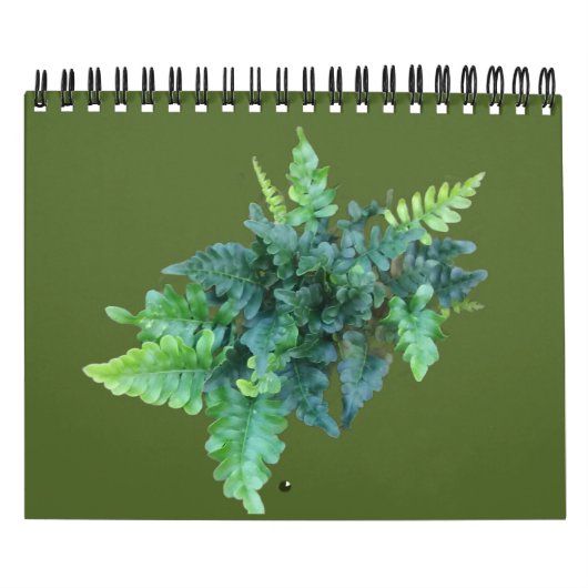 Native Plants - Pacific northwest Kalender (Titelbild)