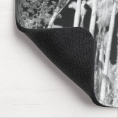 Native Royal Palms in Fakahatchee Strand Mousepad (Ecke)