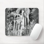 Native Royal Palms in Fakahatchee Strand Mousepad (Mit Mouse)