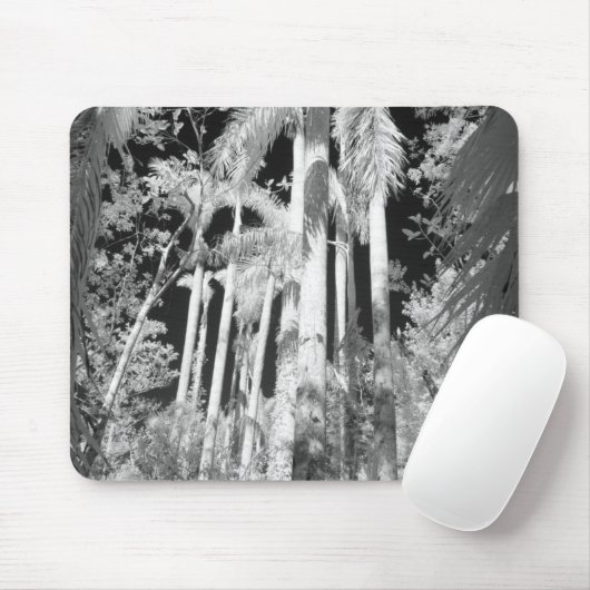 Native Royal Palms in Fakahatchee Strand Mousepad (Mit Mouse)