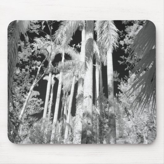 Native Royal Palms in Fakahatchee Strand Mousepad (Vorne)