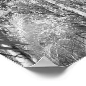 Native Royal Palms in Fakahatchee Strand, Poster (Ecke)