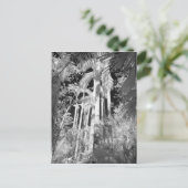 Native Royal Palms in Fakahatchee Strand, Postkarte (Stehend Vorderseite)